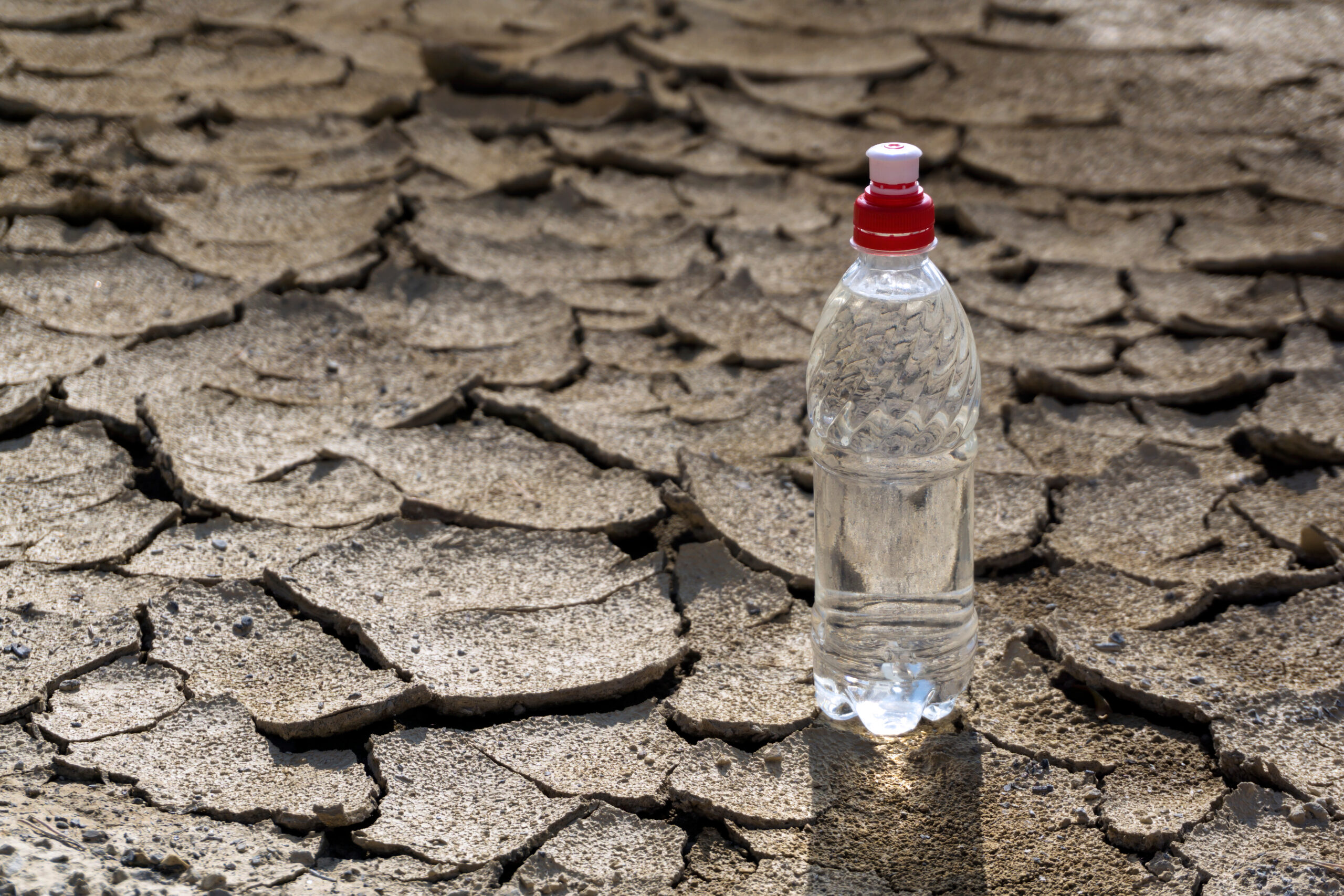 Exceso y escasez de agua en México